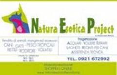 Natura Esotica Project Logo