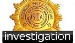 isida group investigazioni security intelligence detective agency Logo